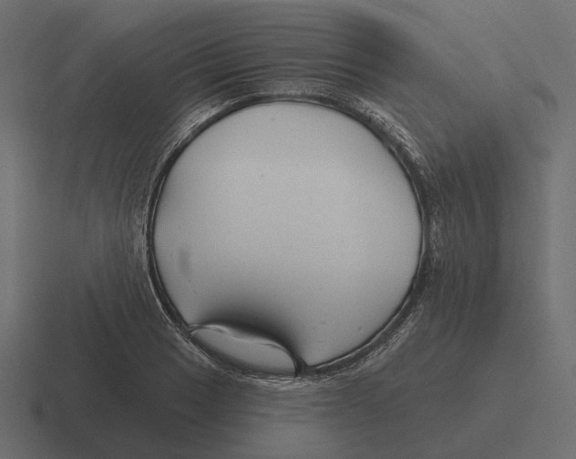 X0000116341033200912291608