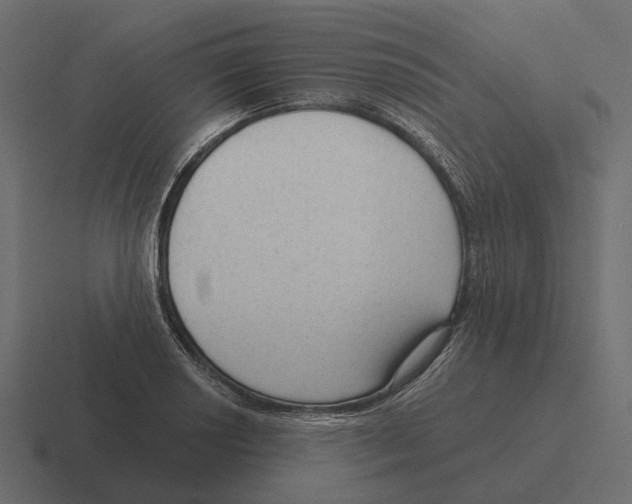 X0000116341034200912291608