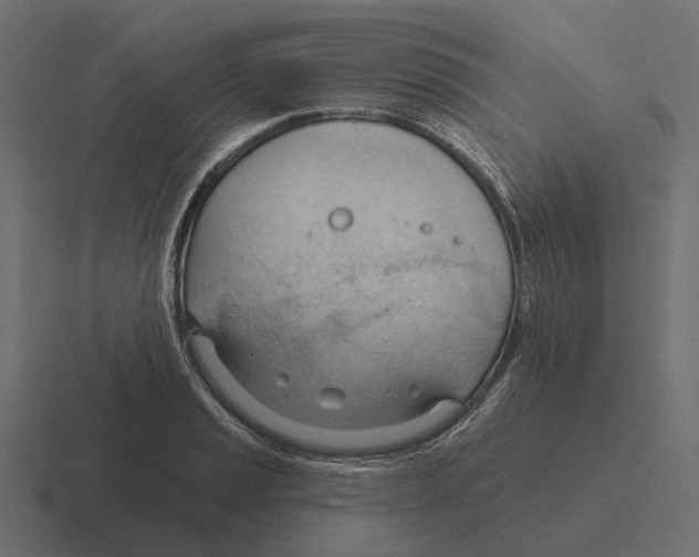 X0000116341037200912291608