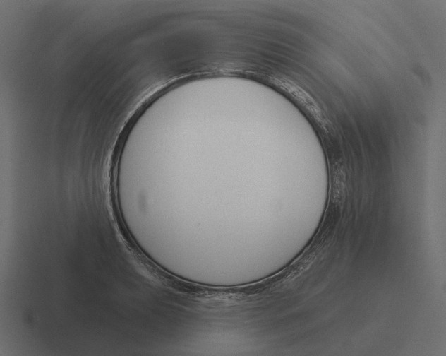 X0000116341039200912291608