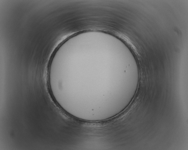 X0000116341040200912291608