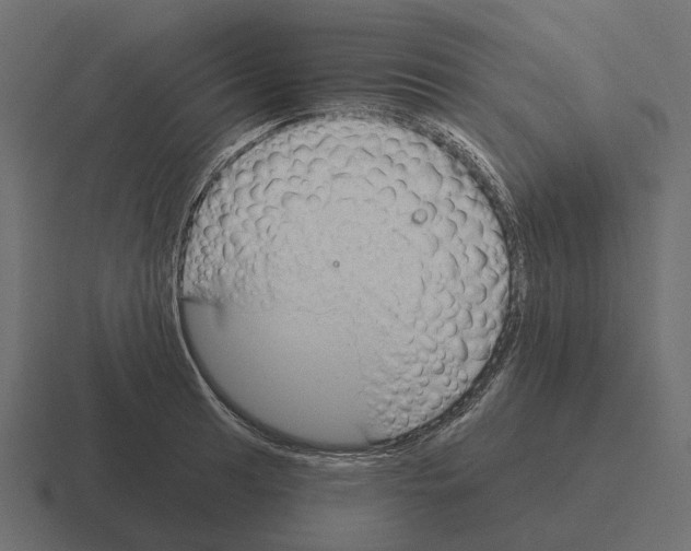 X0000116341041200912291608