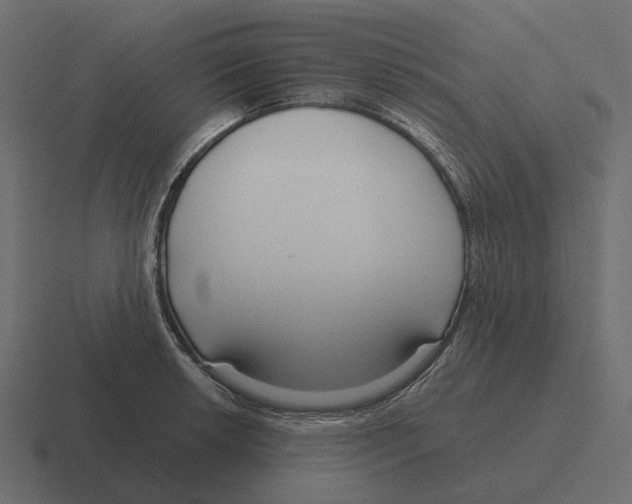 X0000116341042200912291608