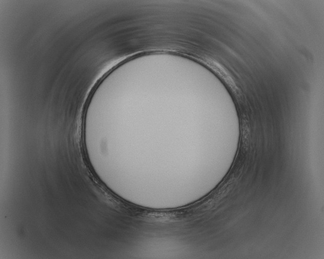 X0000116341044200912291608