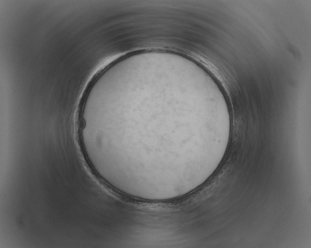 X0000116341045200912291608