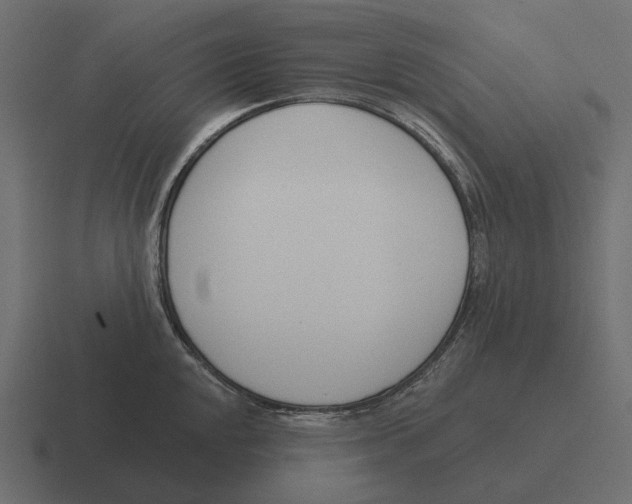 X0000116341048200912291608