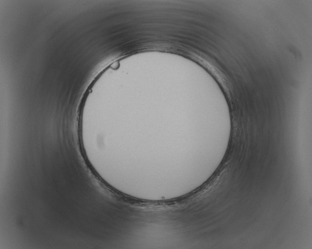 X0000116341050200912291608