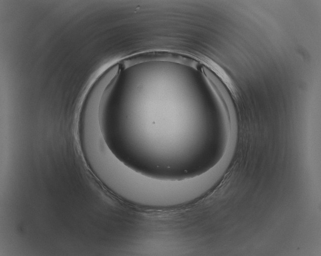 X0000116341051200912291608