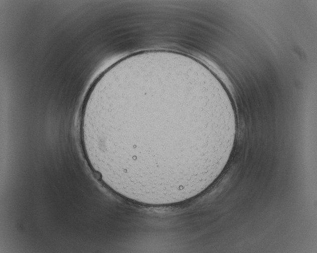 X0000116341053200912291608