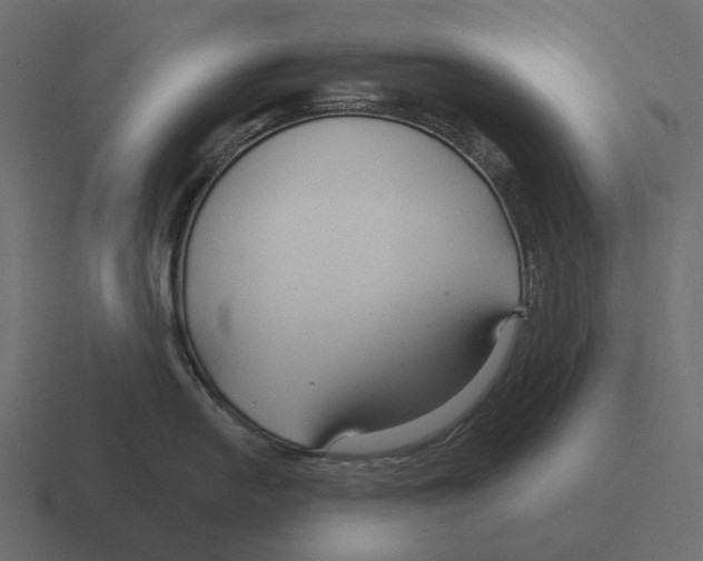 X0000116341054200912291608