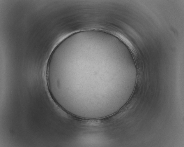 X0000116341055200912291608