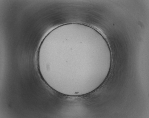 X0000116341056200912291608