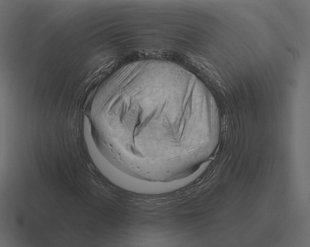 X0000116341060200912291608