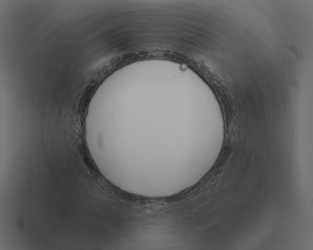 X0000116341062200912291608