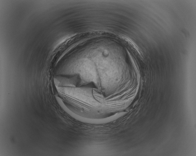 X0000116341064200912291608