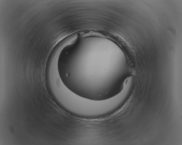 X0000116341065200912291608