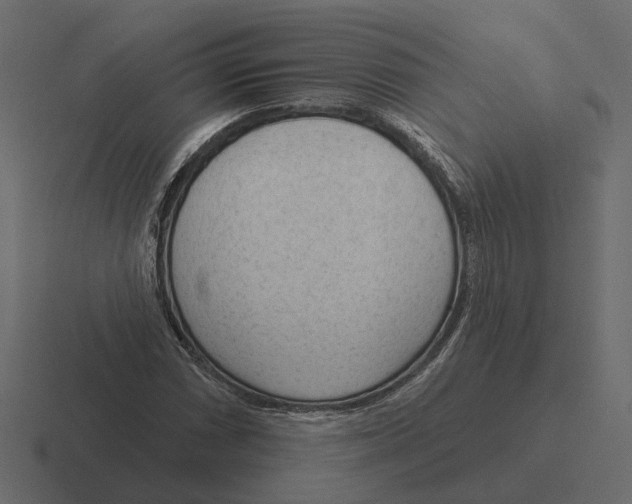 X0000116341066200912291608