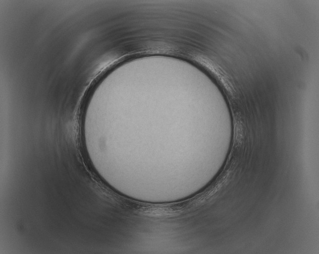 X0000116341074200912291607