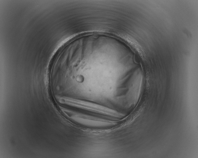 X0000116341077200912291607