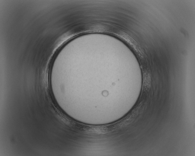 X0000116341078200912291607