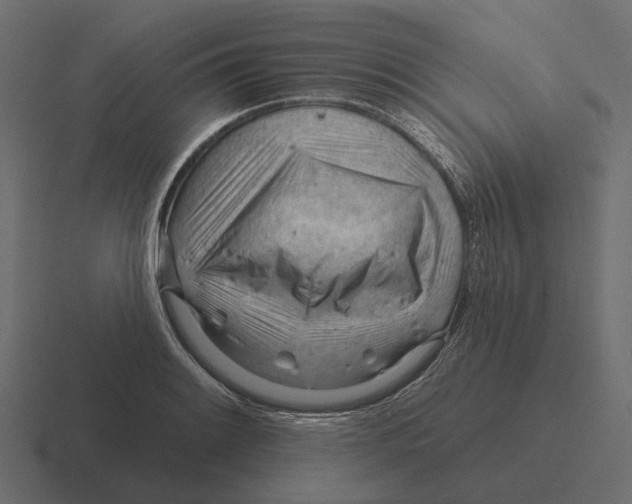 X0000116341084200912291607