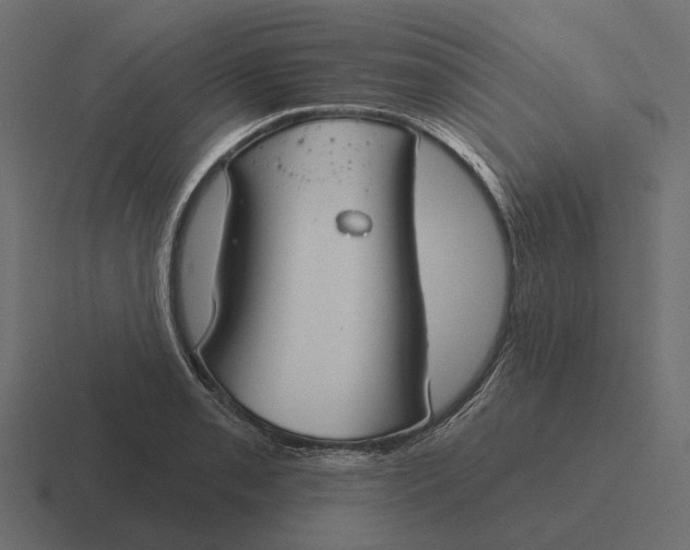 X0000116341085200912291607