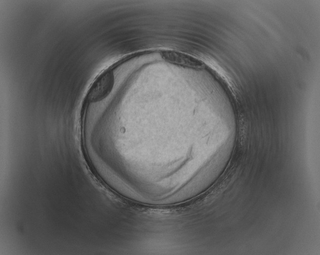 X0000116341088200912291607