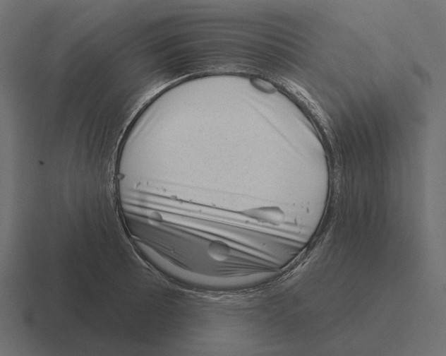 X0000116341089200912291607