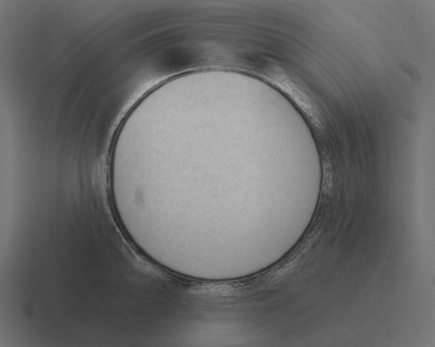 X0000116341094200912291607