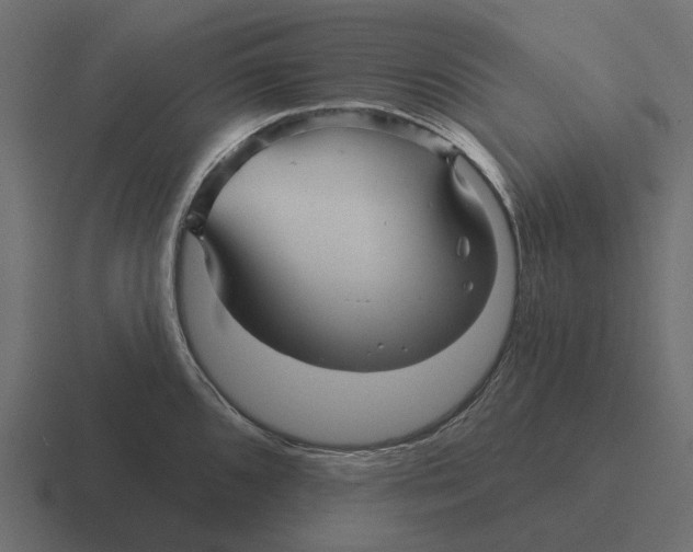 X0000116341096200912291607