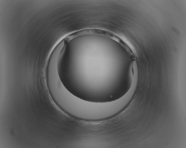 X0000116341100200912291607