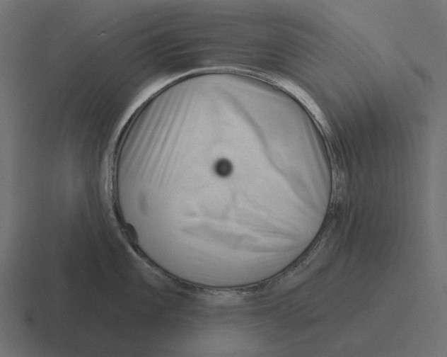 X0000116341101200912291607