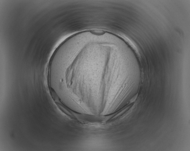 X0000116341102200912291607