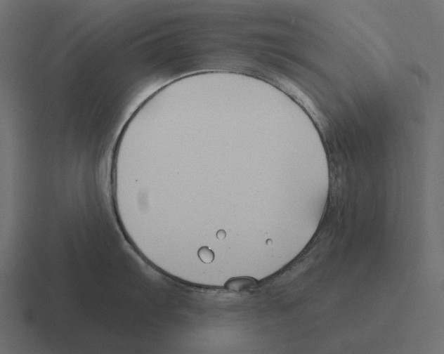 X0000116341103200912291607