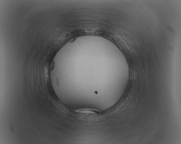 X0000116341106200912291606