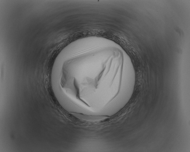 X0000116341109200912291607