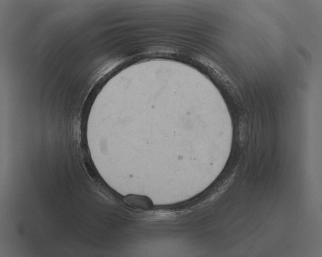 X0000116341113200912291607