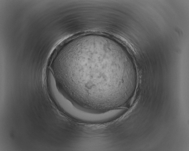 X0000116341117200912291607