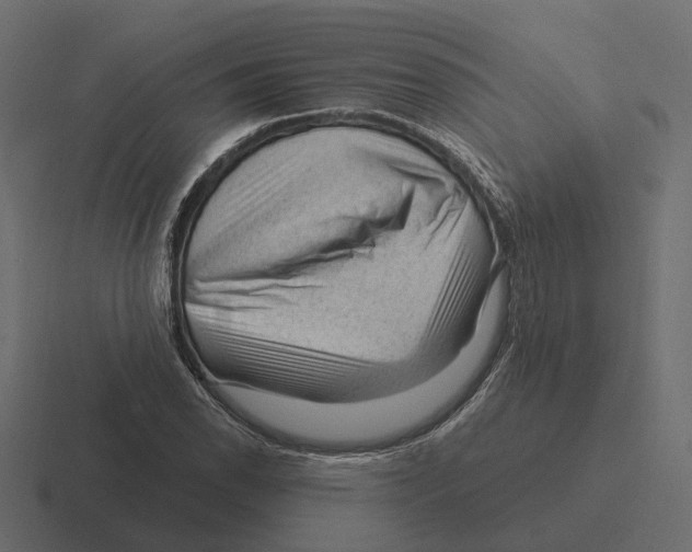 X0000116341118200912291607