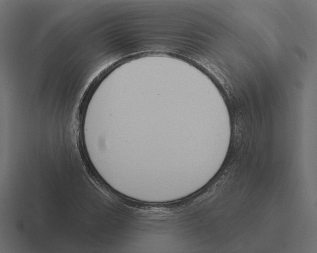 X0000116341119200912291607