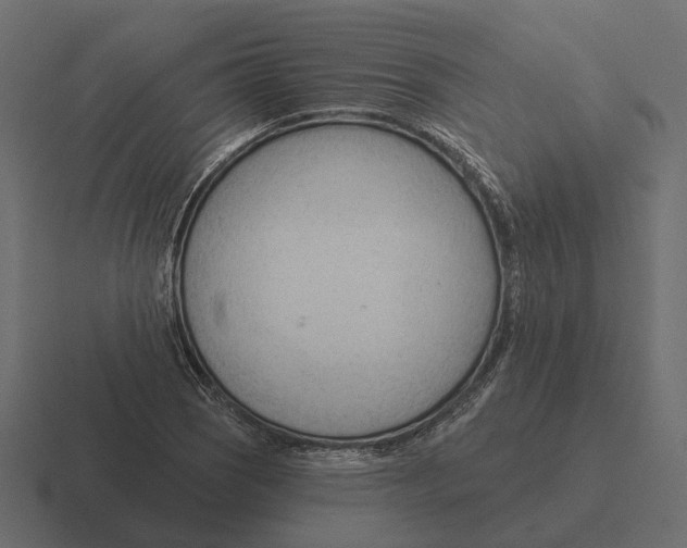 X0000116341121200912291607