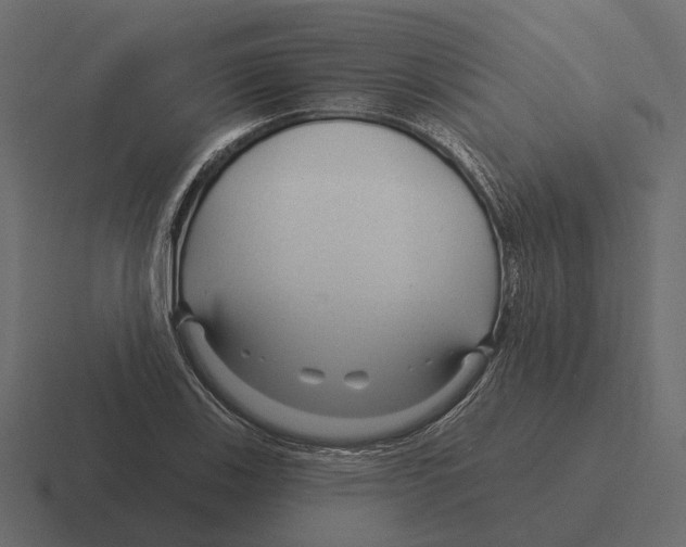 X0000116341123200912291607