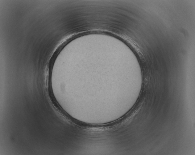 X0000116341126200912291607