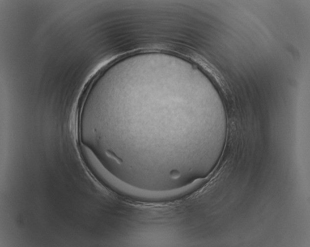 X0000116341127200912291607