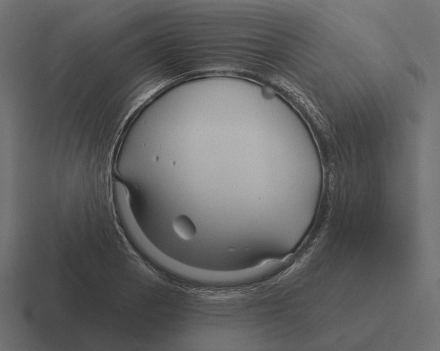 X0000116341129200912291607