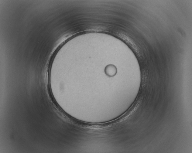 X0000116341130200912291607