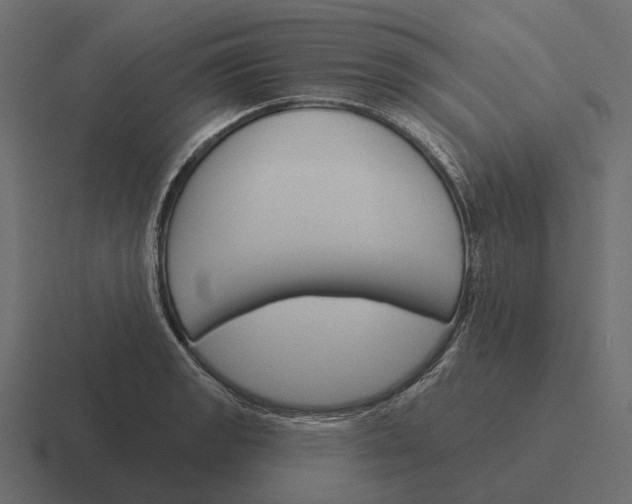 X0000116341133200912291607