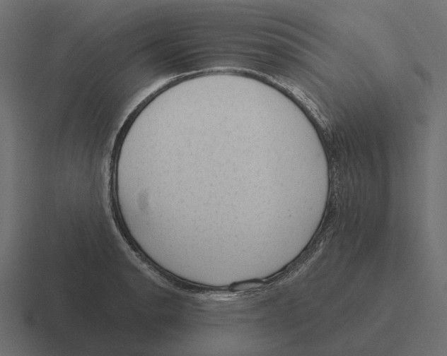 X0000116341134200912291607