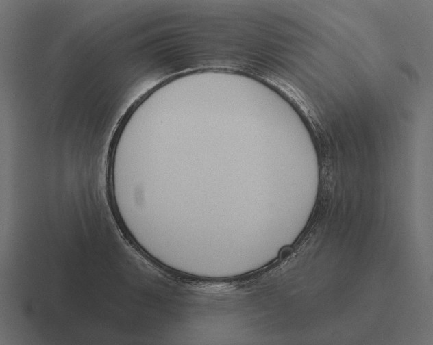 X0000116341135200912291607