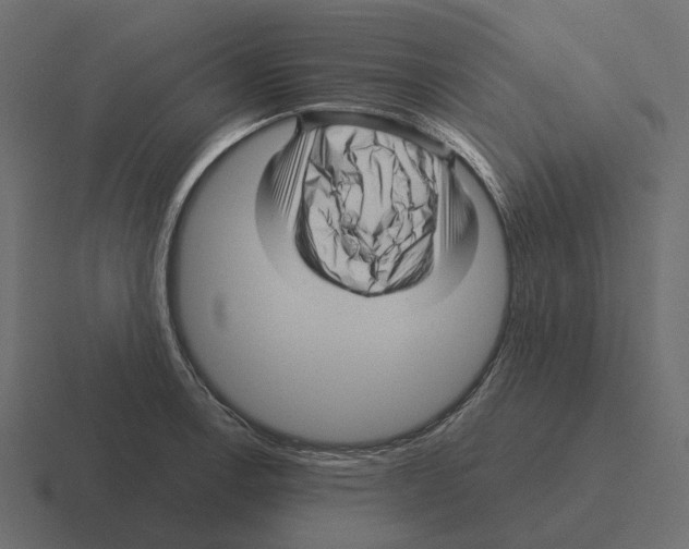 X0000116341138200912291607